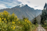 20050506_Cusco-71