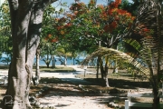 Anguilla--13
