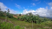 Costa Rica-76