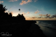 20040424-Parcelas-003