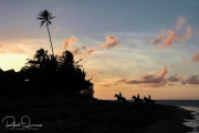 20040424-Parcelas-004