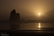 Haystack-8919