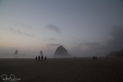 Haystack-9035