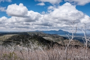 20170519-6570