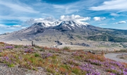 Oregon-10