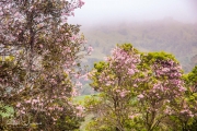 20040510-Panoramica-009