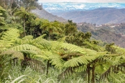 20040510-Panoramica-011