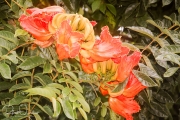 20040510-Panoramica-012