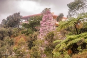 20040510-Panoramica-013