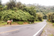 20040510-Panoramica-016