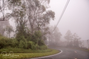 20040510-Panoramica-017