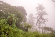 20040510-Panoramica-018