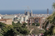RXV00339