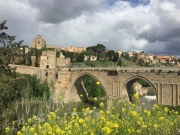 20180429-IMG_1652