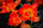 untitled-0565