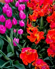 untitled-0576