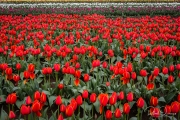 untitled-0826
