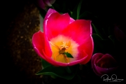 untitled-0895